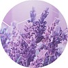 nuncas pavimenti profumati lavanda mini